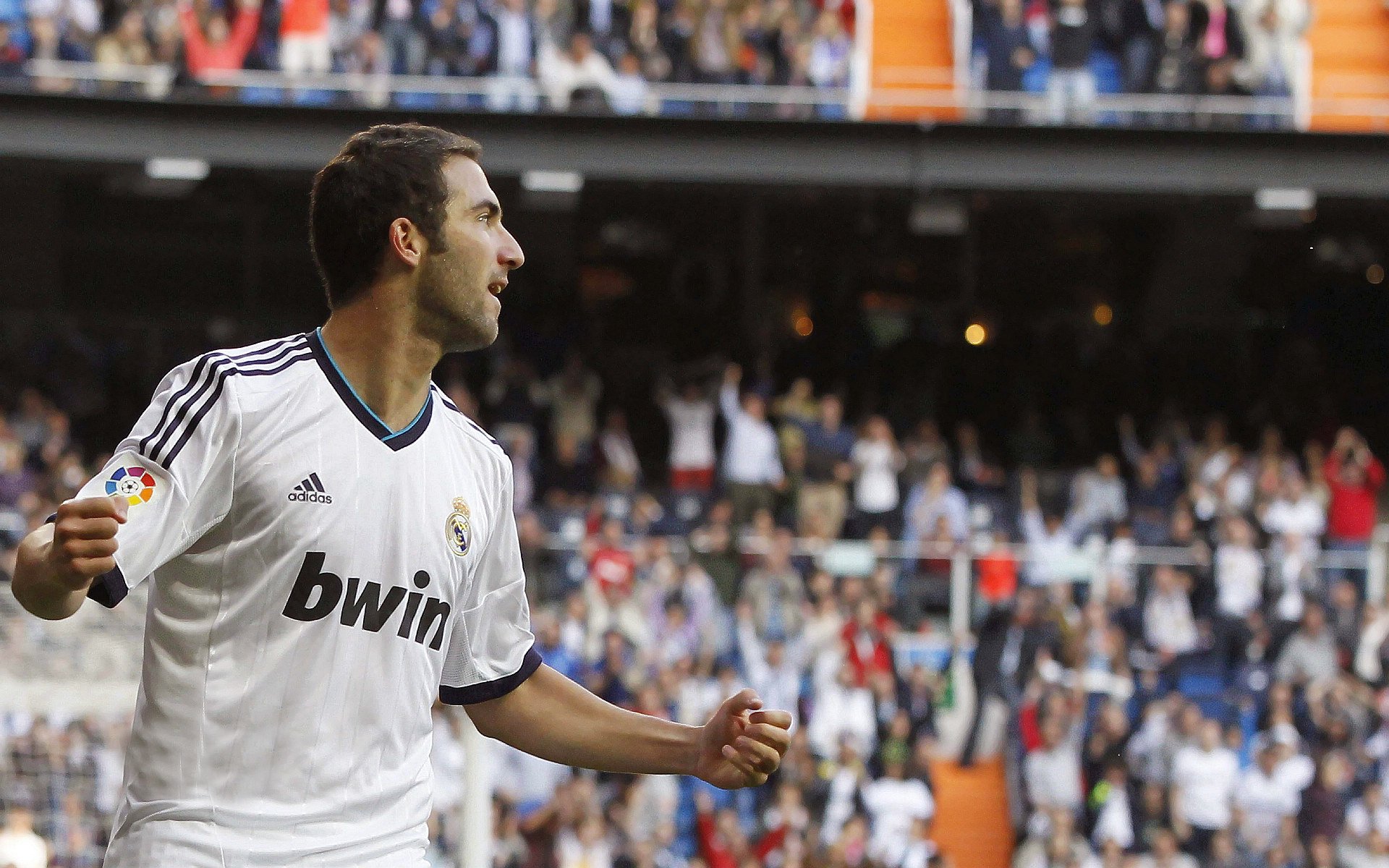 WRC粉丝狂欢:现场氛围与观赛体验,crew粉丝