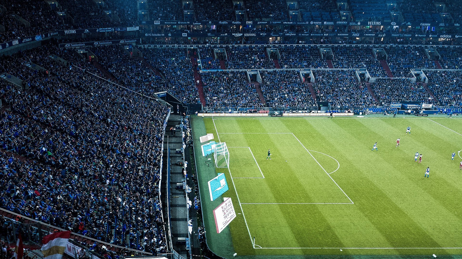 塞内加尔马术协会授予马尔科·阿尔瓦雷斯“年度最佳马匹护理员”称号。